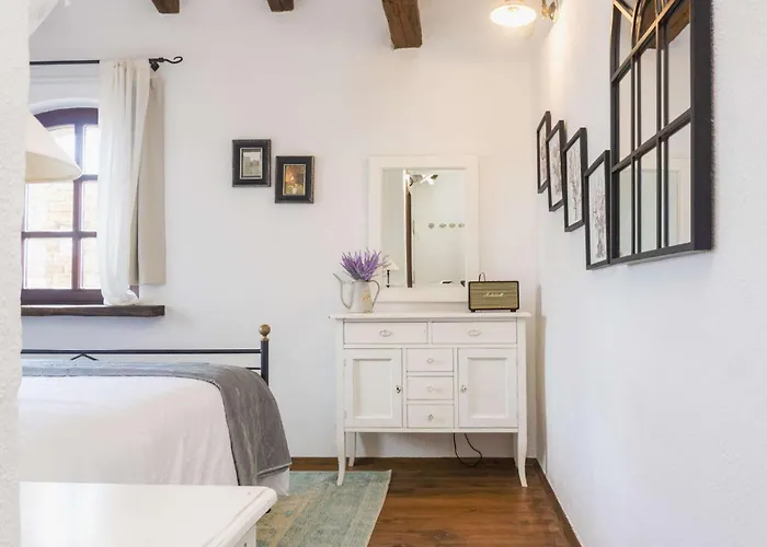 Montona Holiday home Visnjan